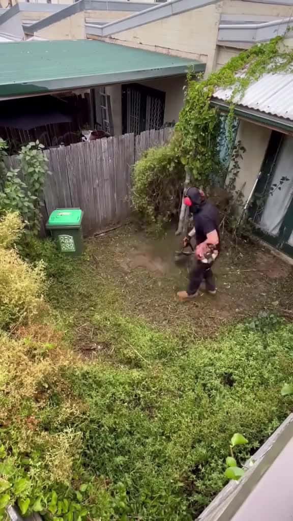 Cover for Ultimate Cleaning Lawn Care ASMR So Satisfying You ll Want to Clean uncloggingdrains cutti 48683 #shortvideos