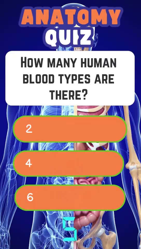Cover for Anatomy Quiz #anat#humanbo#quiz#quiztime #quizviral #tiktok #anatomia  #creatorsearchinsights