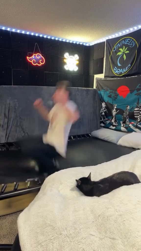 Cover for The cat has seen that too many times  IG officialjonnynelson Unreel Extreme Flip  99008 #nicevideo