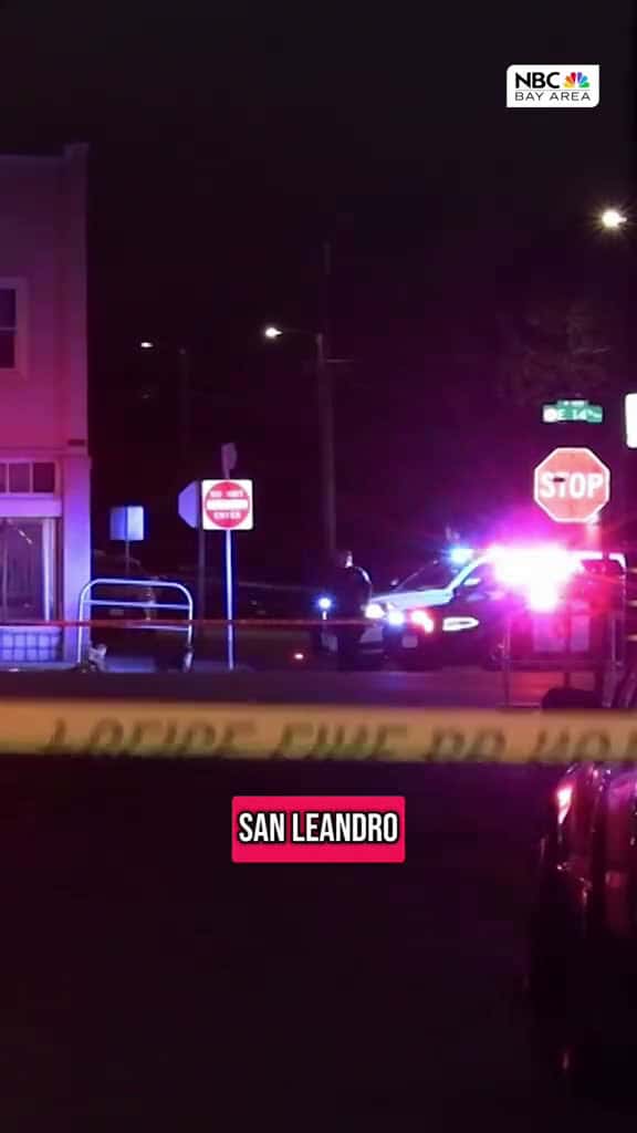 Cover for Tragic Murder of Woman Walking Dogs in San