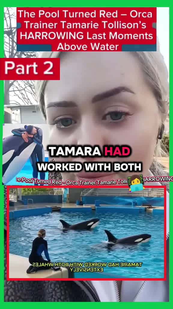 Cover for The Truth Behind Orca Trainer Tamarie Tollison's Last Show