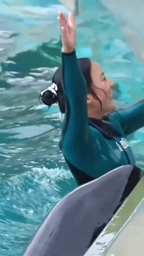 Cover for #orcas #trending #foryou #orcas #trending #foryou  #orcas #trending #foryou  #orcas #trending #foryou  created by Storm with Storm’s original sound