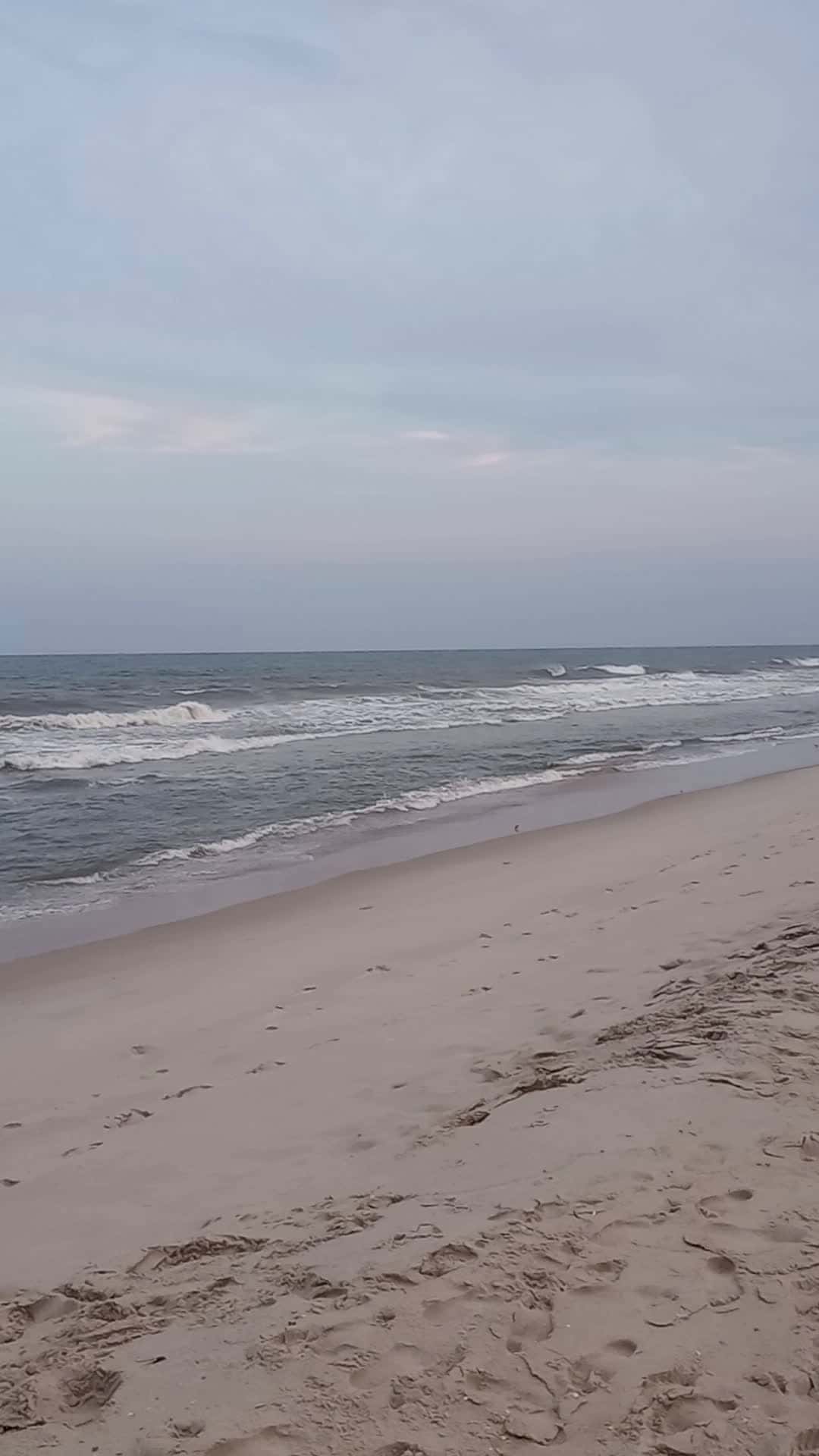 Cover for Beach at Long Beach Island 