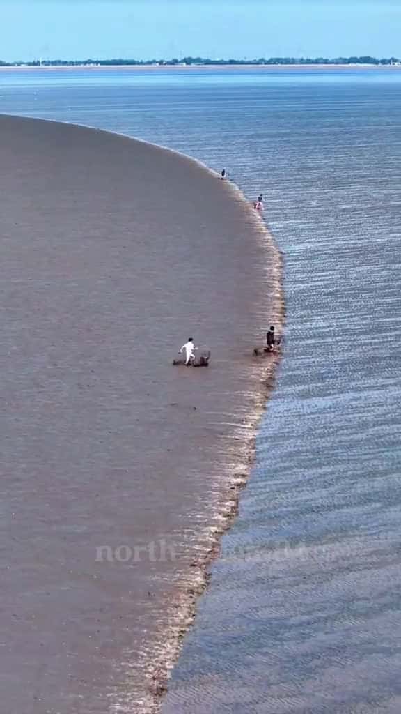 Cover for Would you swim here northsea bigwaves ocean sea mix atlanticocean pacificocean wave 23231 #nicevideo