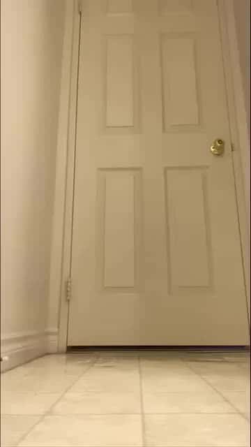 Cover for Monsters Inc 👽 - Ricky Berwick