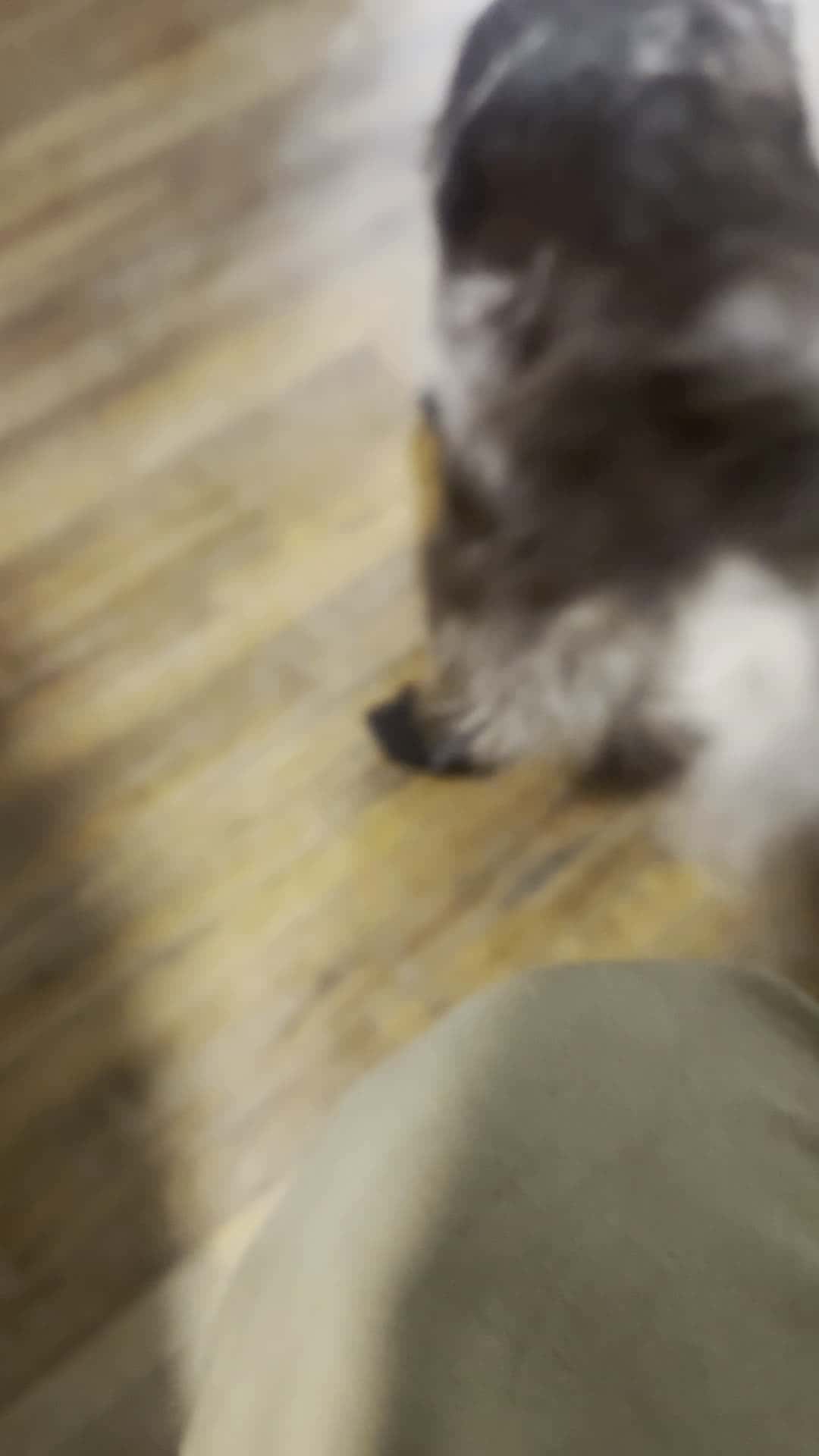 Cover for First time in booties