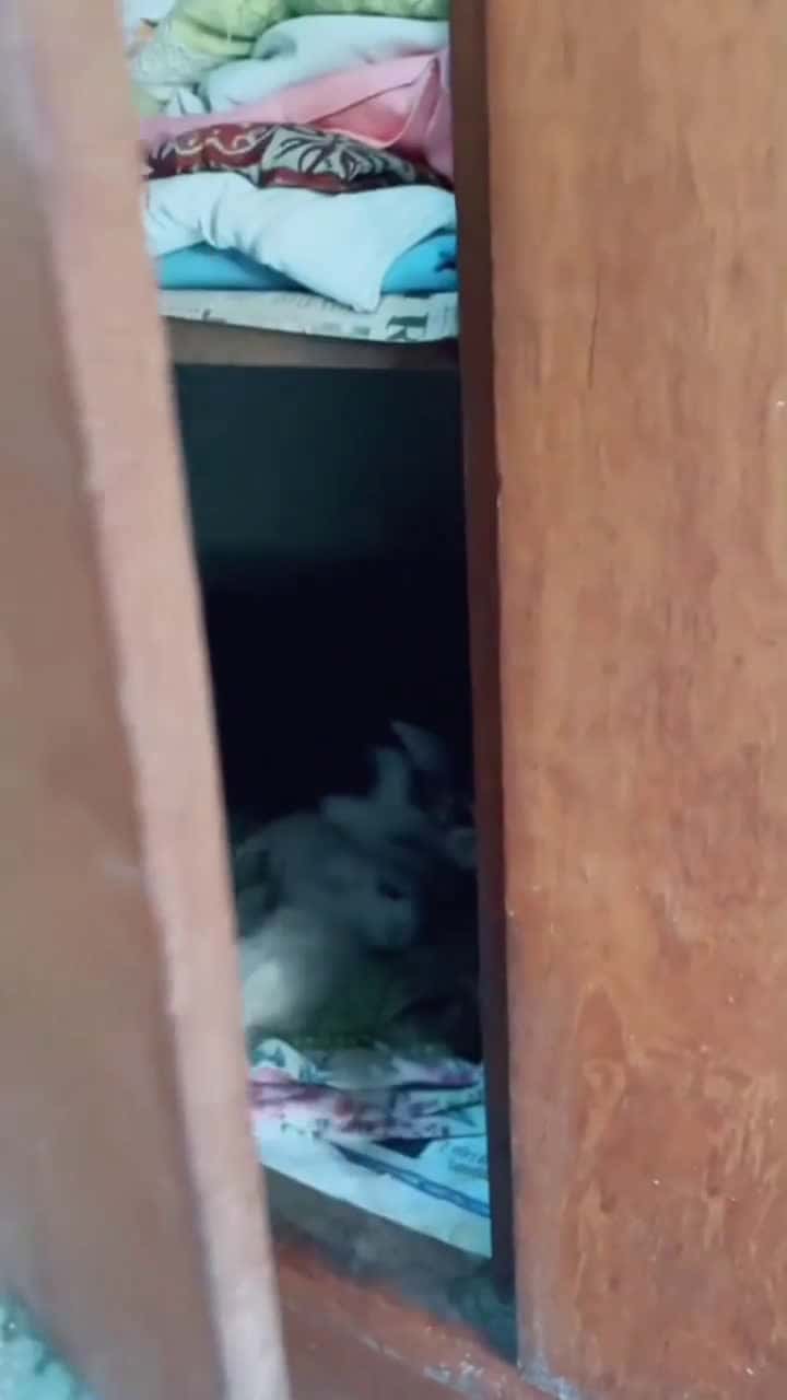 Cover for Bapak Apa Pasti mau nanya kenapa anakku berbeda kan Cr TT chesstur