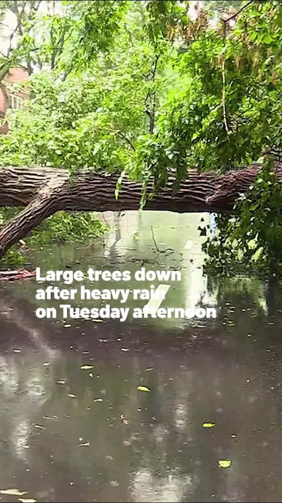 Cover for The Chicago area will see showers and thunderstorms Tuesday, and some parts of the region are under a flash flood warning.⁠ ⁠ That warning is in effect for southern Cook County and central Will County until 6 p.m., according to...
