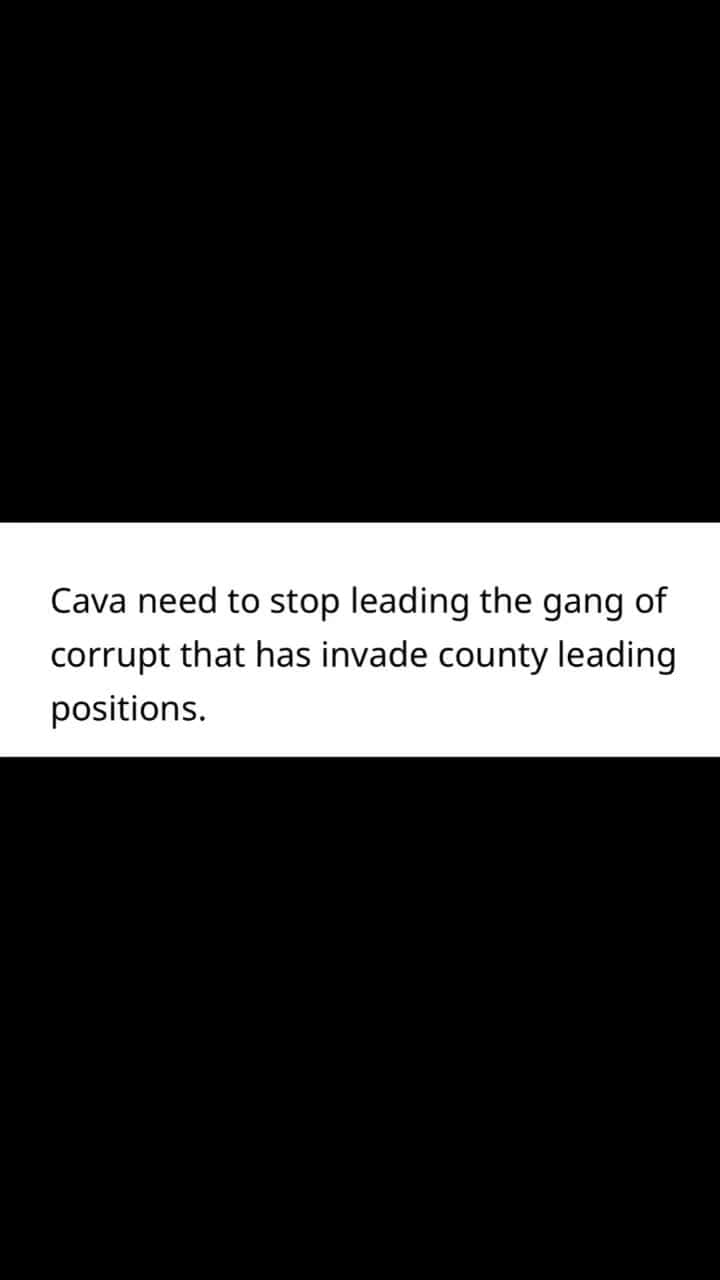 Cover for Sign the petition to remove Levine Cava in change.org search Levine Cava