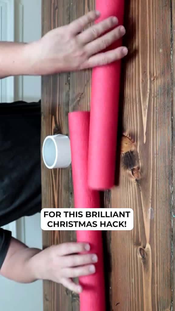 Cover for Save your pool noodles for Christmas! 🎅 #DIY #genius #DIYHacks #EasyDIY #DollarTree #diyhacks #GardenDecor #HomeDecor #christmas #christmastiktok #christmasdecor #garden #FallDIY created by hometalk with hometalk’s original sou...