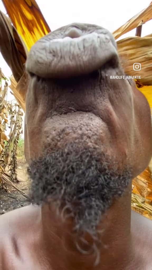Cover for Tag your friends  funny viral viraltiktok foryou likeandfollow fyp fy fypage fypv 88832 #american