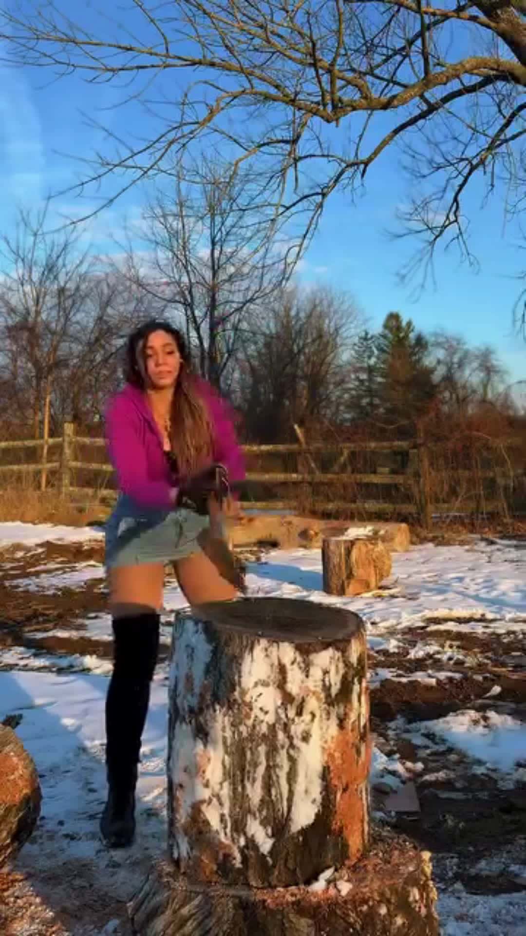 Cover for Splitting wood in Pennsylvania