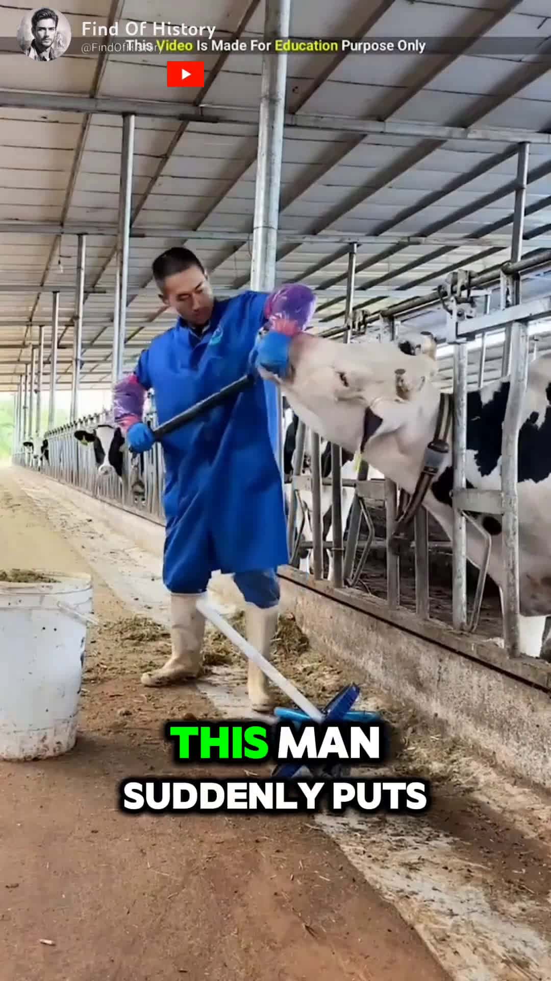 Cover for Unbelievable How Does This Man Save Cows Part 01 shorts short unique