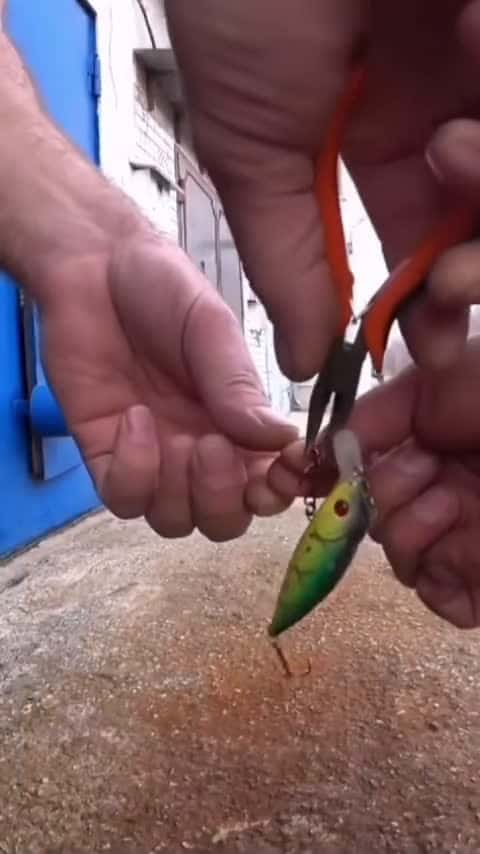 Cover for How not to remove a fishing hook