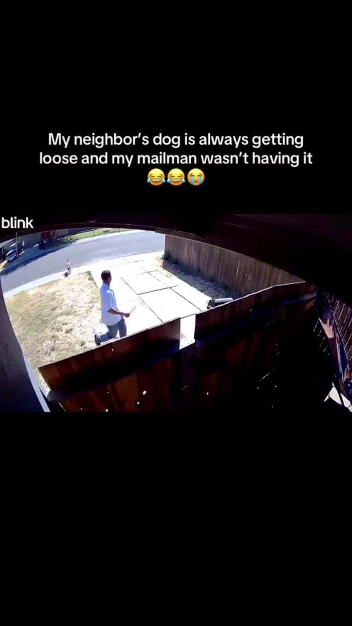 Cover for Neighbors dog is always getting out and the mailman wasn’t having it today😭🤣BELT TO WHAT?