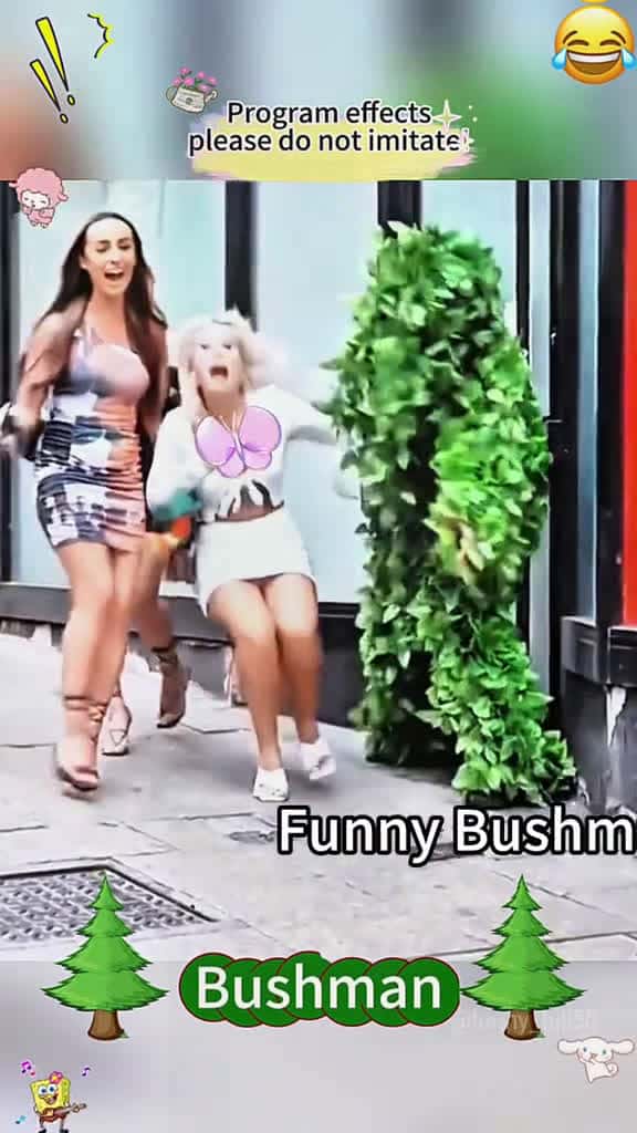 Cover for Here s a funny Bushman video. original fyp foryou funny funnyvideos interesting interestin 02527 #trending