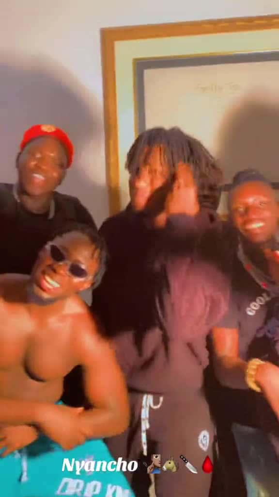 Cover for  44805 #nicevideo