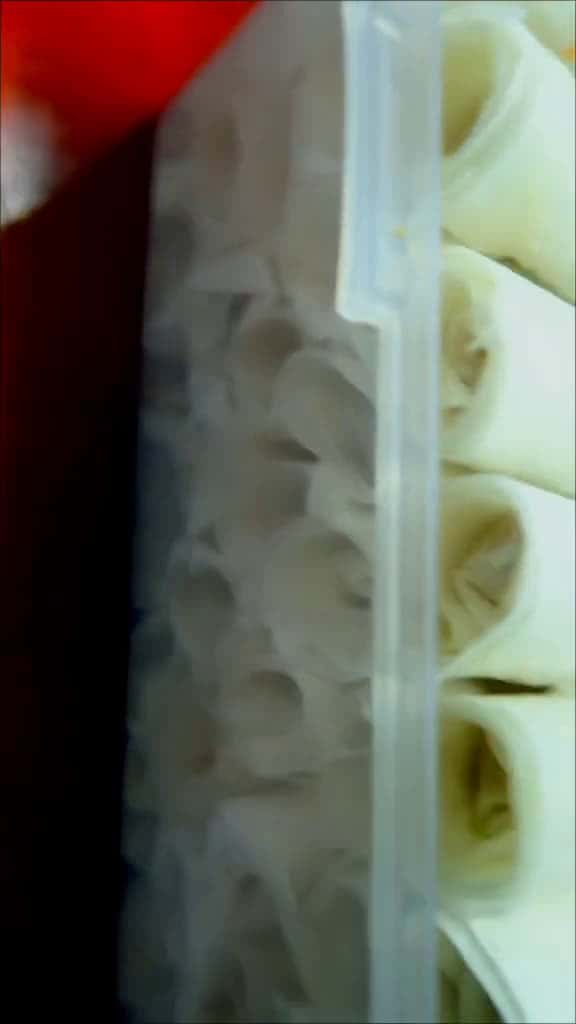 Cover for LUMPIA HACK fyp fyp  foodieph viralfoodtrend pagkaingpinoy phoodtour mukbang food 77190 #trendingscoopz