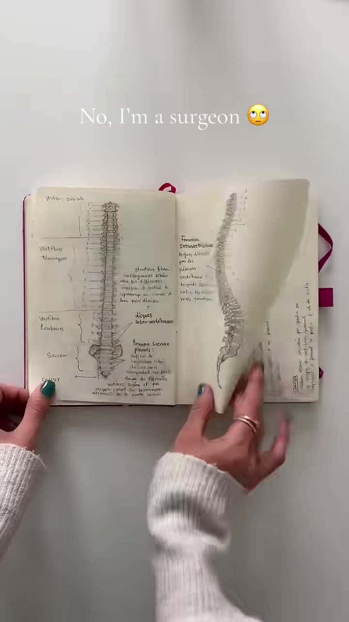 Cover for Nothing like studying your own body! #anatomydrawing #artistsoftiktok #art #sketchbook #humananatomy #anatomystudyart
