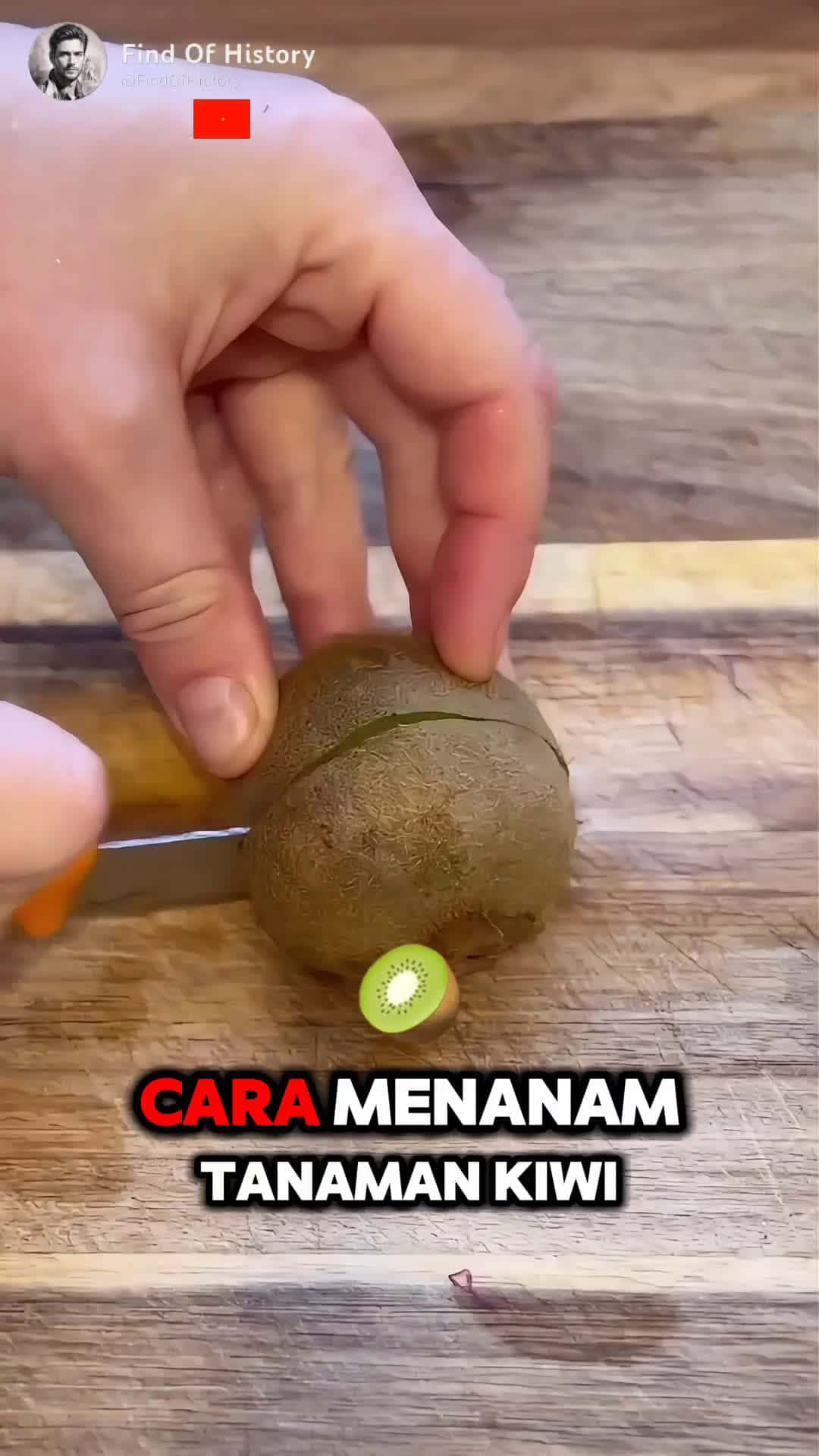Cover for Unique How to Grow Kiwi Plants at Home Part 01 shorts short unique