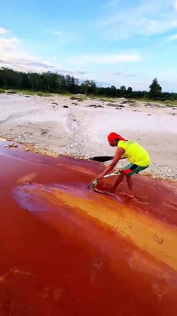 Cover for Looking for gold and panning for gold buried in river walls golddiscovery viralvideo goldp 72535 #shortvideos