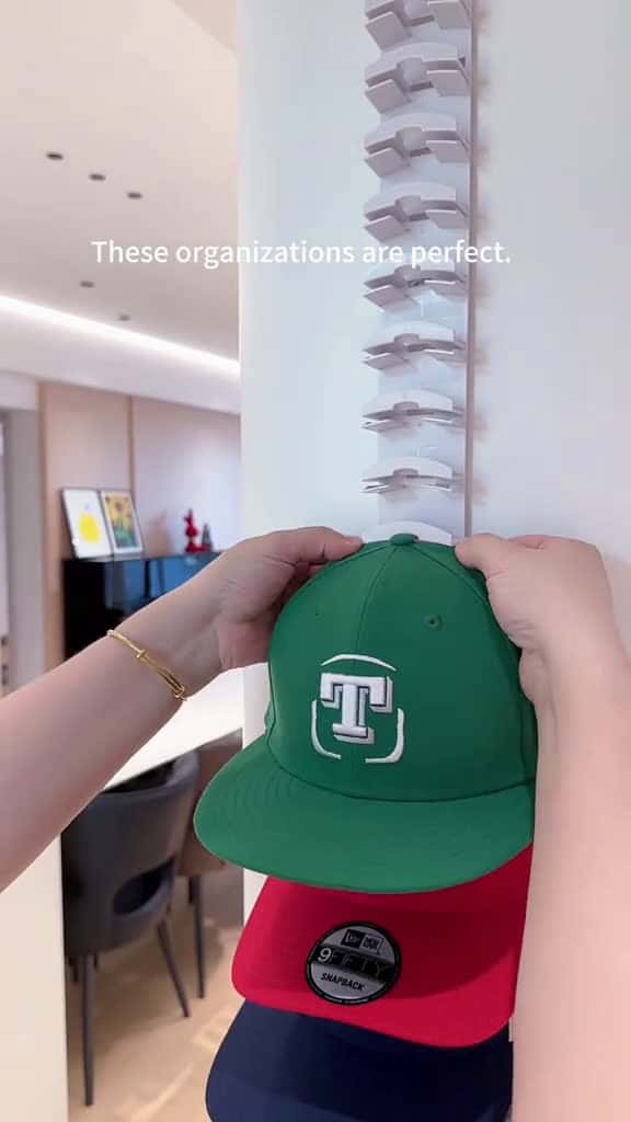 Cover for Hat organizer