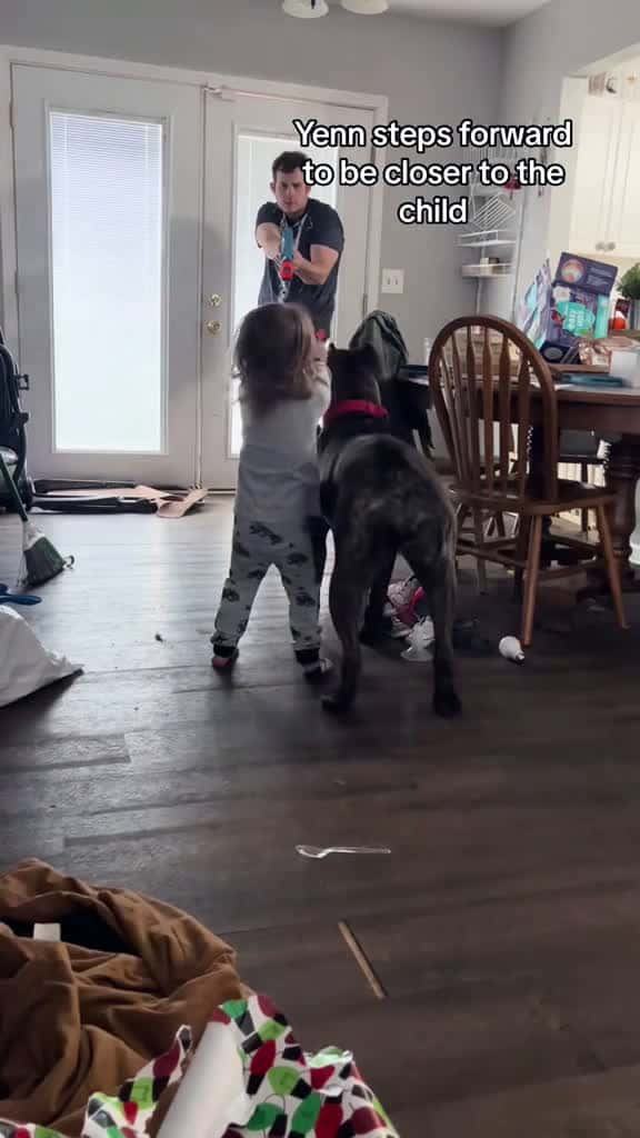 Cover for He doesn t need training just love fyp dog dogs doglover dogsoftiktok 60270 #shortvideos