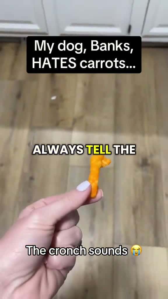 Cover for My dog banks hates carrots!