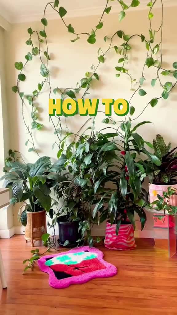 Cover for Stop Boiling Over: Smart Kitchen Hacks!