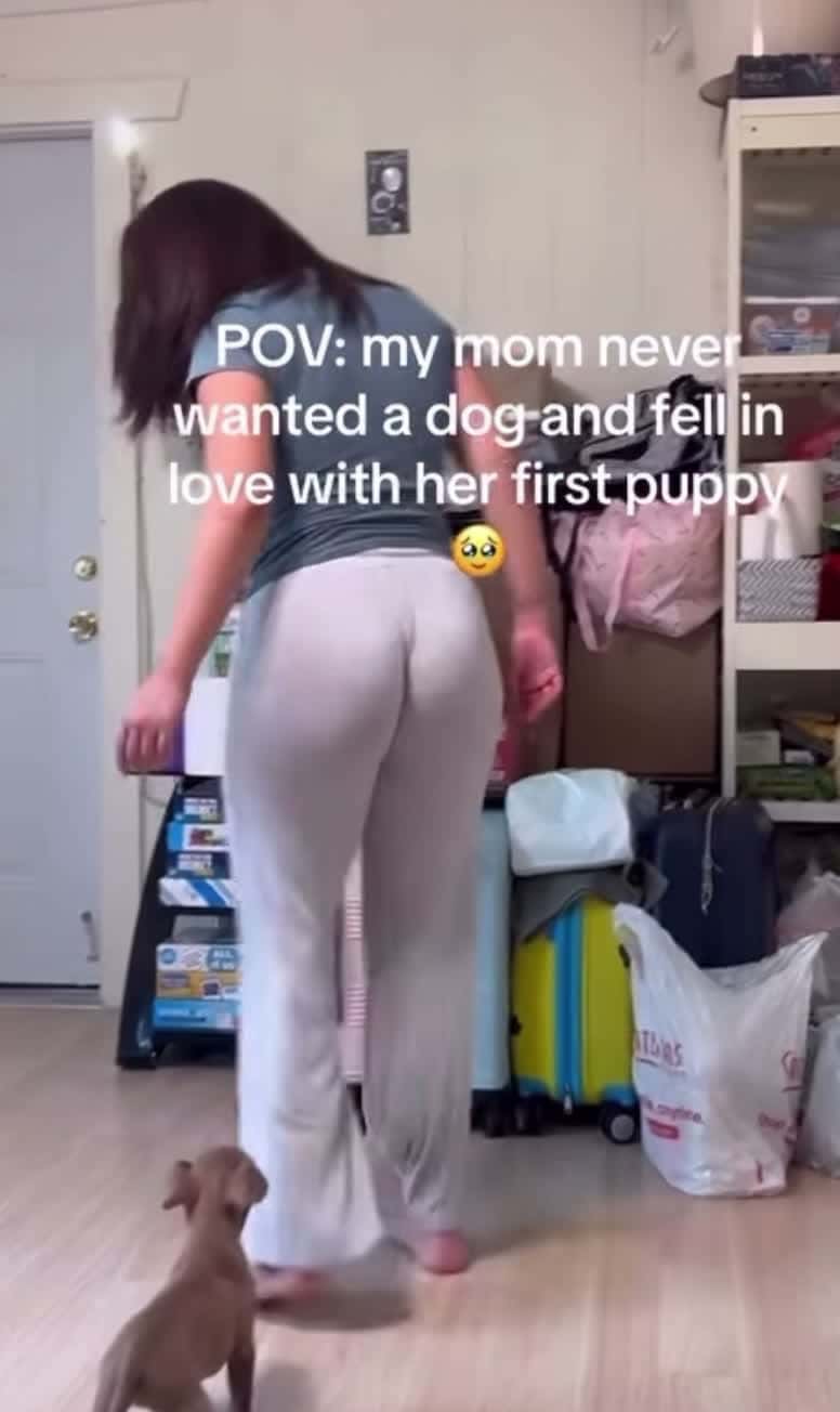 Cover for Follow for more babes #pawg #nsfw #ass #bootyphysics #viral #fyp #dancing #twerk #adult #explore