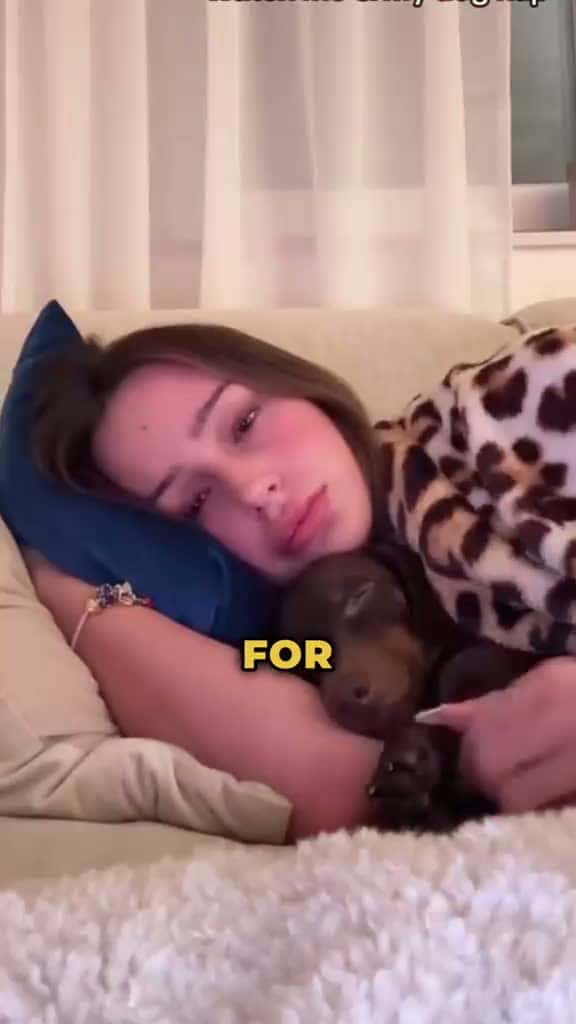 Cover for We talk about the five reasons why dogs sleep with their owners. These include seeking warmth, finding comfort and security, bonding with the pack, feeling protected, and showing affection. The speaker encourages the viewer to share what breed their dog is in the comments. #dog 
