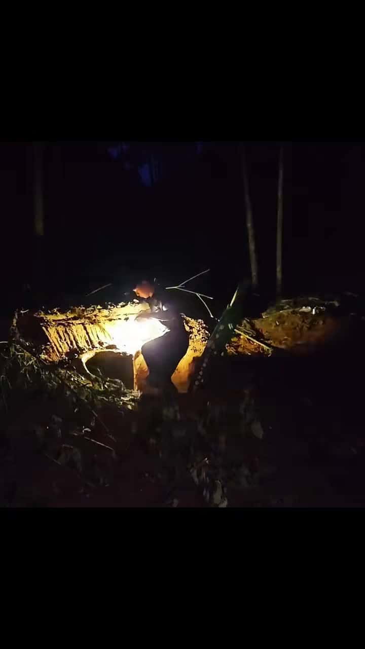 Cover for I built a special secret base with an underground smoke system#survival #shelter #camp #survivalskills #forest #build #bushcraft