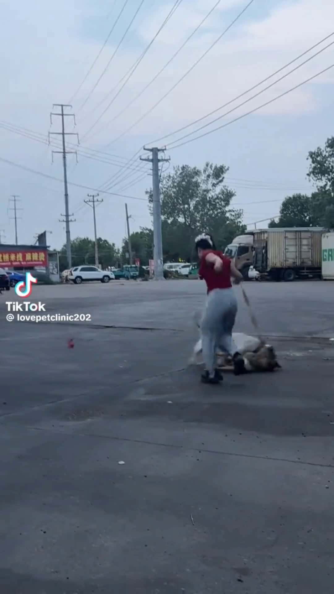 Cover for #FightCam #fightcam #film #fight #firstvideochallenge #caughtoncamera #camera #viral #videoviral  #tiktok #wow #women #spotlight #wtf #police #copsoftiktok #cops #scoopz #shorts #scoopzreels #100k #ufc 