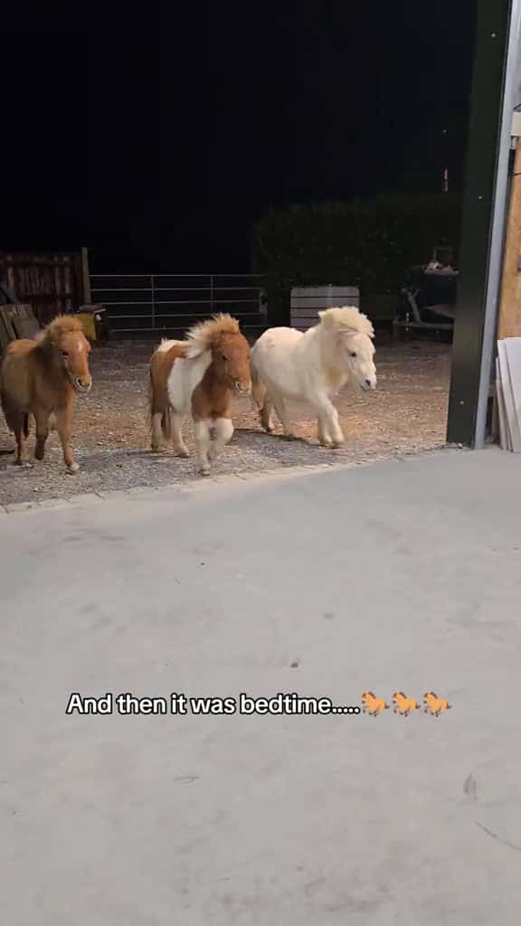 Cover for And then it was bedtime 😂😂