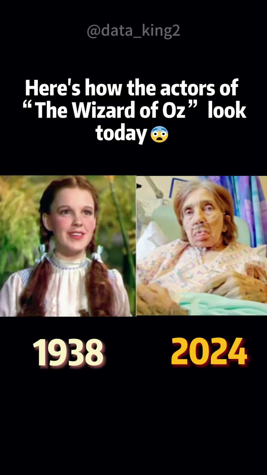Cover for Here’s how the actors of the wizard of oz look today #celebrities #ce