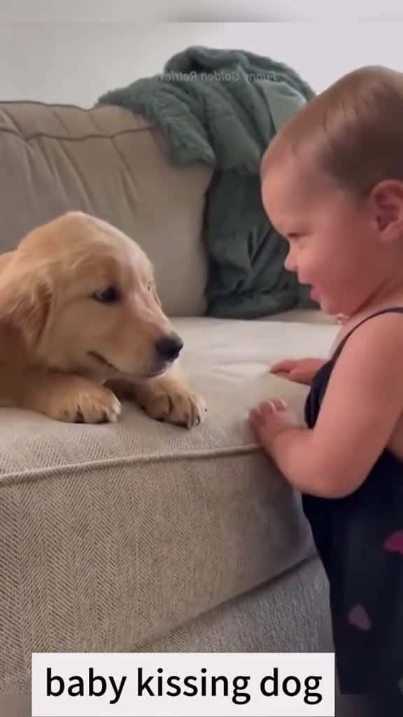 Cover for Baby kissing dog happy Love cute cutebaby happybirthday foryou kiss dog embrace 82190 #nicevideo