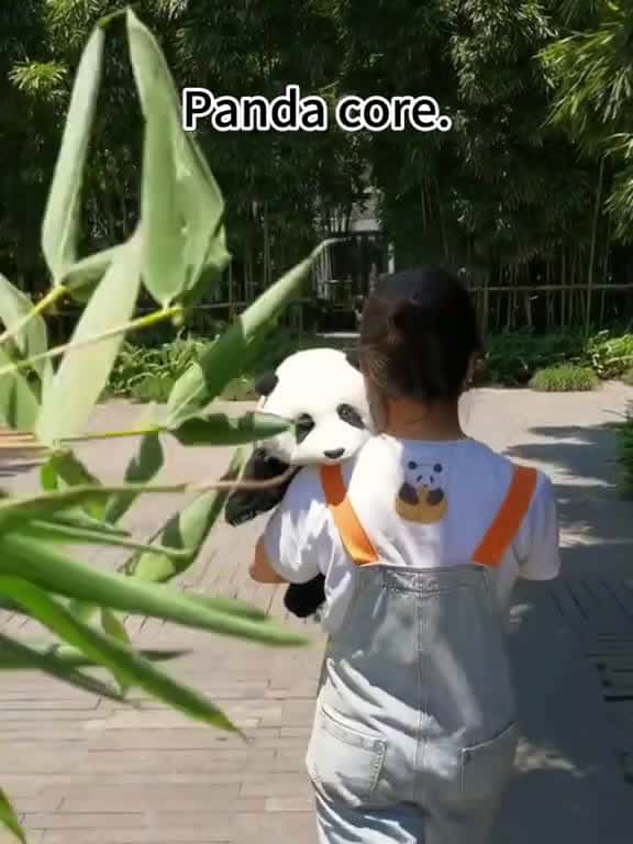 Cover for Panda Core #panda #fyp  created by Petfunnytime1996 with MC Mablo Dos Paredões’s Relaxed (Sped Up)