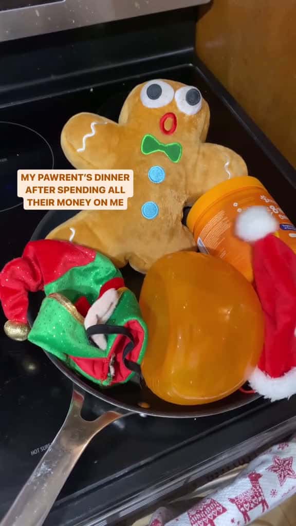 Cover for What can we say Gaarathegoldendoodle IG funnyvideos funnydogvideos funnydogsoftiktok petpa 02702 #shortvideos