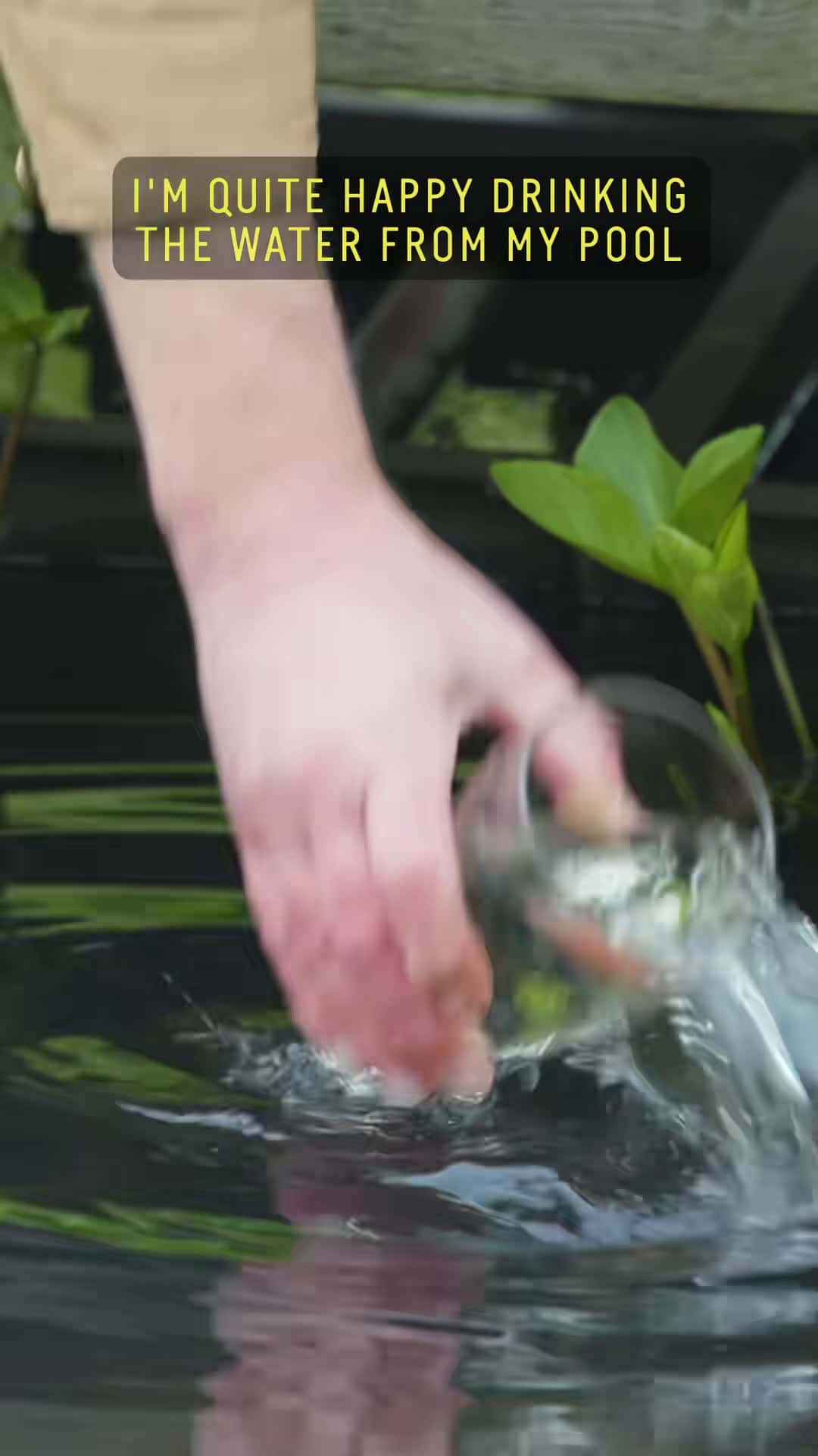 Cover for Are #eco-friendly pond pools the future of swimming? @davidpaganbutler-tiktok foryou designs, builds, and teaches people to make their own #DIY #organic #pools.