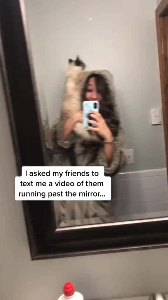 Cover for Who is your favorite Idk who started this but I love it and my friends friends mirror challange stayhome smallgestures