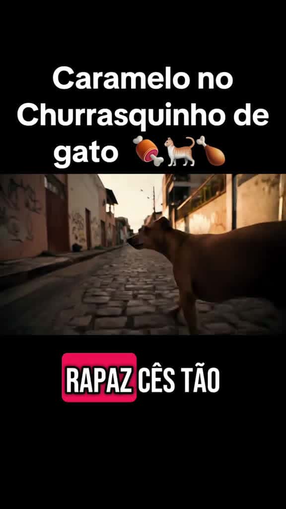 Cover for O caramelo se amarra num churrasquinho de gato caramelo caramelobr churrasconalaje churras 25407 #nicevideo