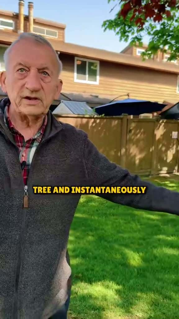 Cover for How to Ground Yourself in Under 10 Seconds #reinhardstanjek #ascensiontools #grounding #treehugging #treehuggers #treehugger 
