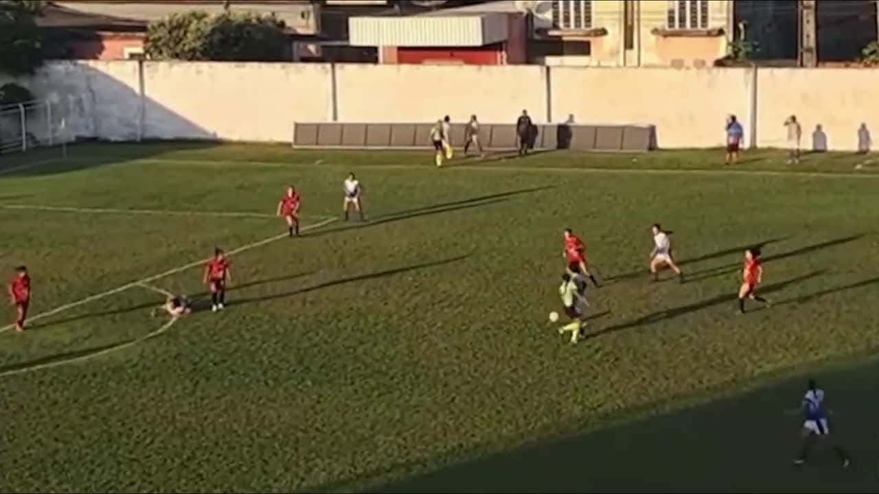 Cover for That shot had sting! Football players dive for cover as bees attack pitch