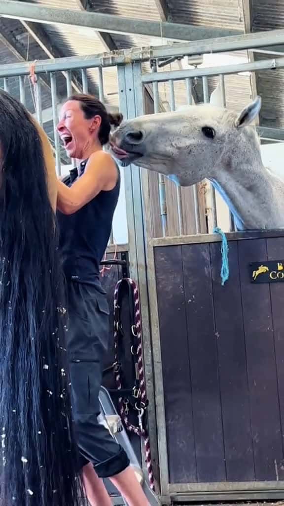 Cover for Horse core horse horses fyp foryoupage viral funny animals viralvideo usa usa 32110 #followMe