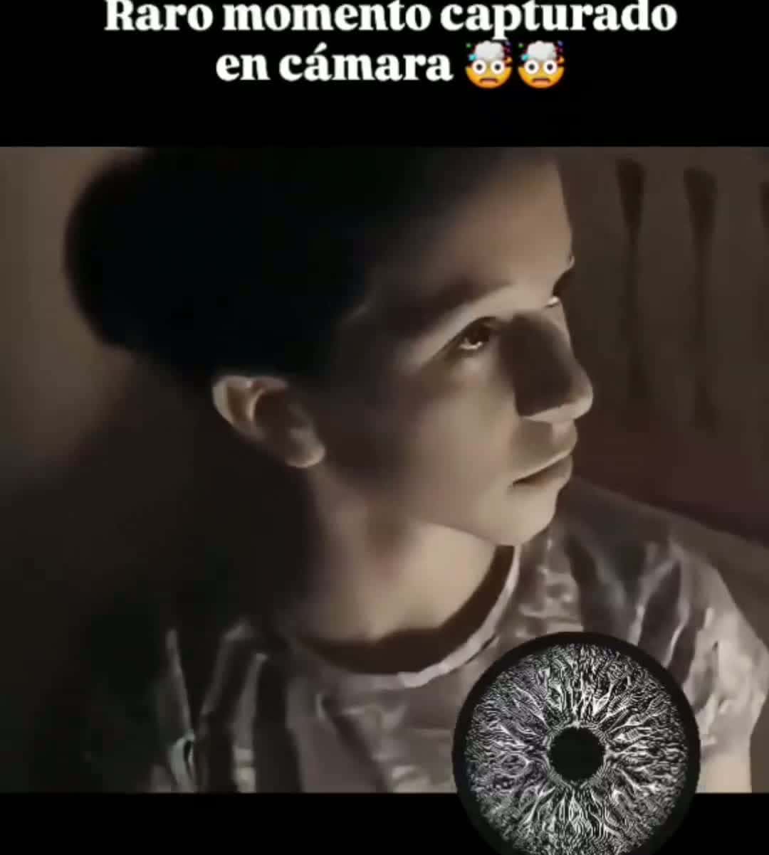 Cover for  Rare moment caught on camera 