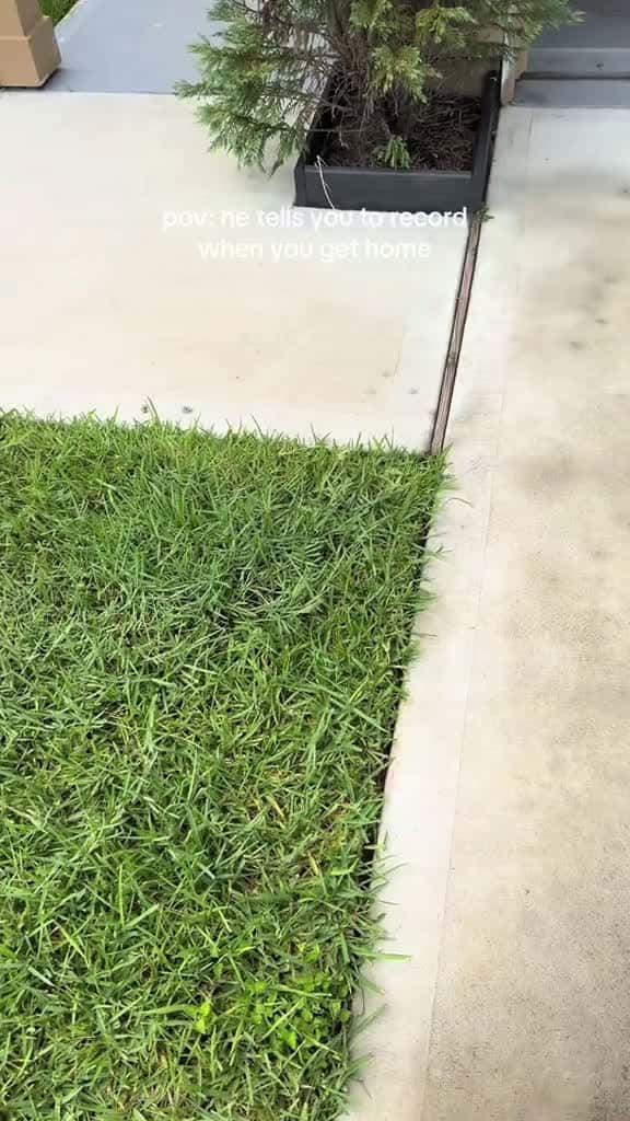 Cover for Unexpectedly Hilarious Pet Moments