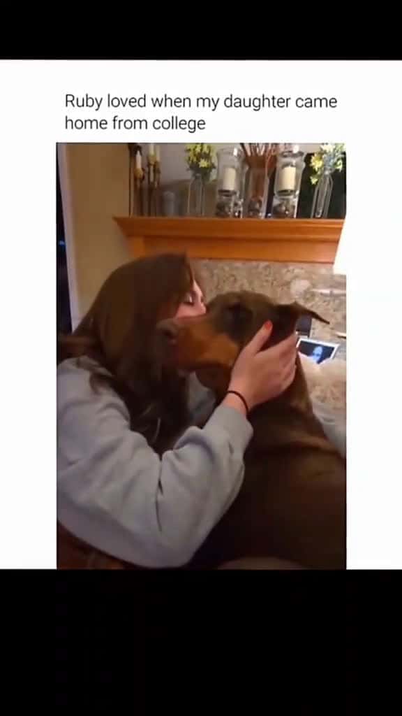 Cover for Funny and cute dogs compilation funnydog funnypet cutedog dogsoftiktok doglover dog 22880 #trendingscoopz