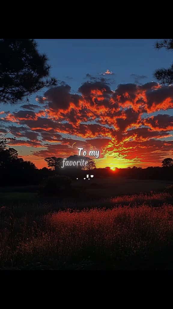 Cover for lovequotes lovequote quoteslove 00331 #nicevideo