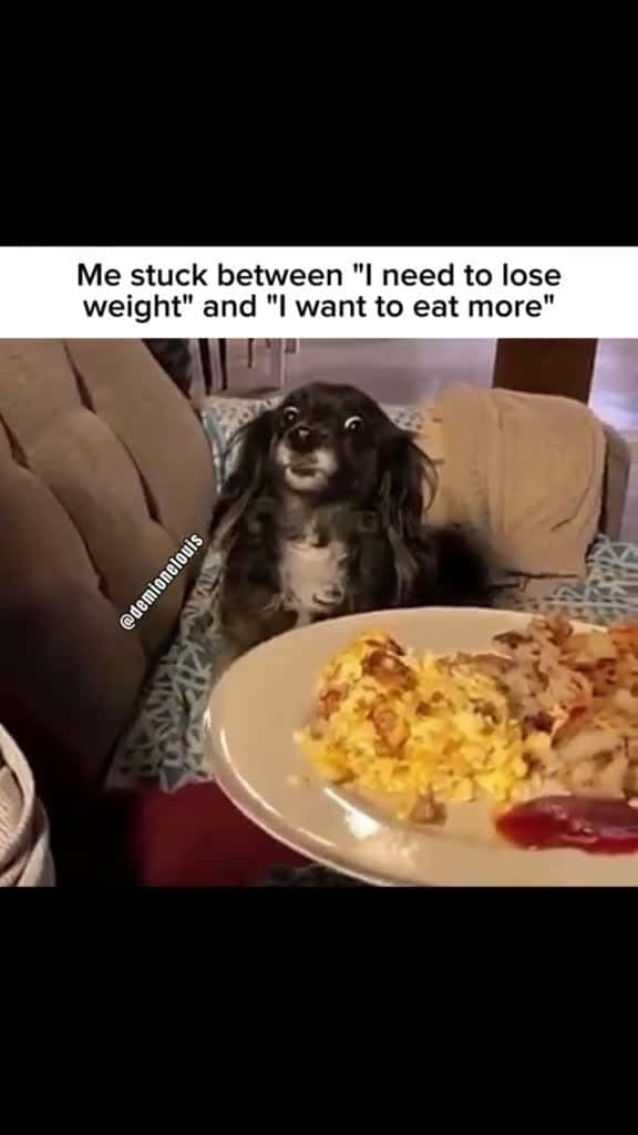 Cover for Dieting be like #CapCut #fyp #foryoupage #meme #viral #adultingbelike #diet #loseweight #dog #iliketoeat