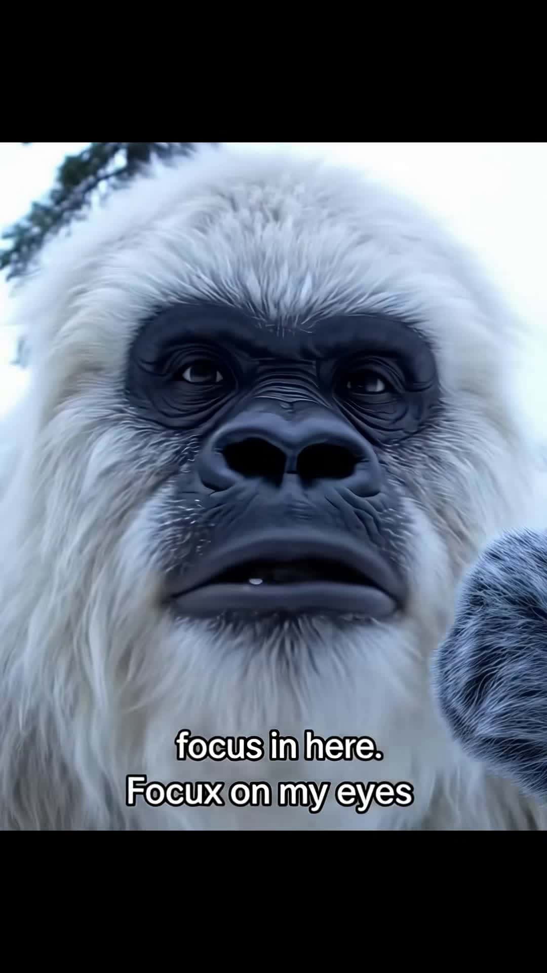 Cover for Yeti-Boo for you #vlog #wilderness #wildrrness #yetiboo #asmr